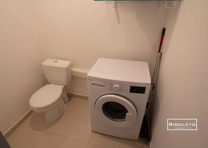 Riboleys - T3 Climatise A 100m De La Appartement *