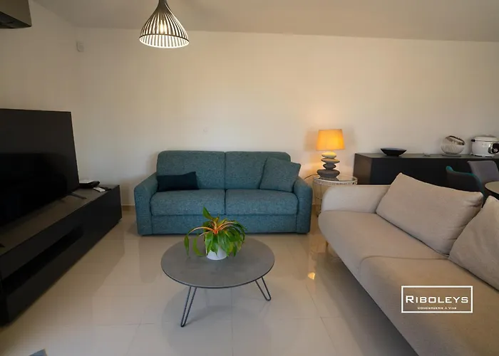 Appartement Riboleys - T3 Climatise A 100m De La Vias