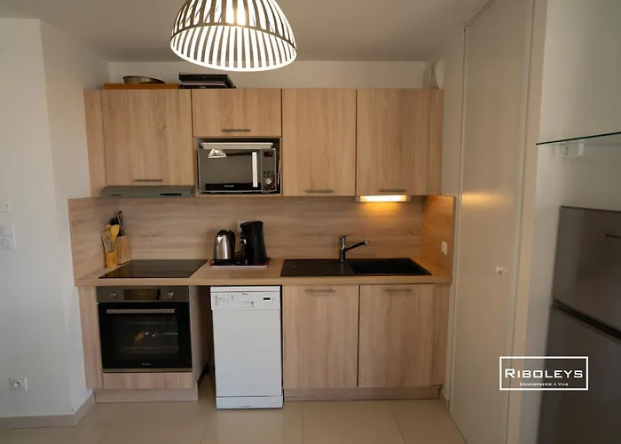 Riboleys - T3 Climatise A 100m De La Appartement