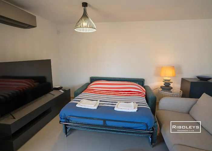 Riboleys - T3 Climatise A 100m De La *